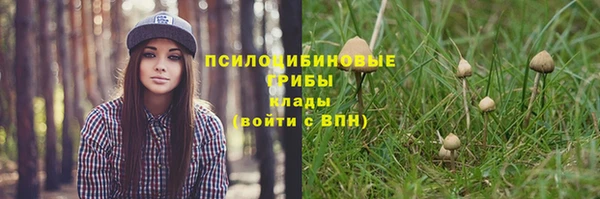 стафф Верхний Тагил